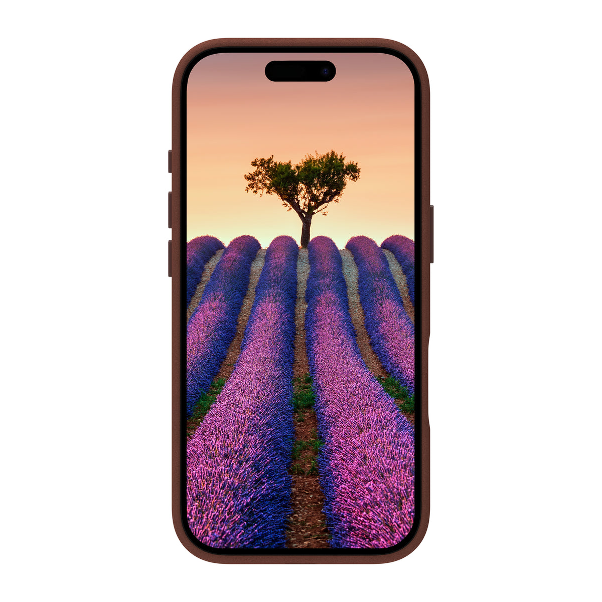 Coque de Protection Roskilde MS pour iPhone 17, Housse Teint