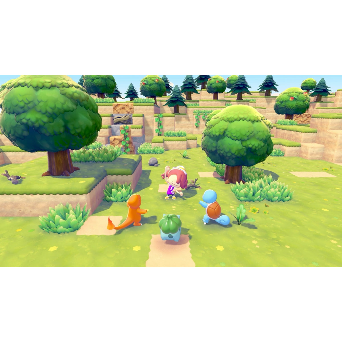 Nintendo Pokémon Pokopia Switch 2