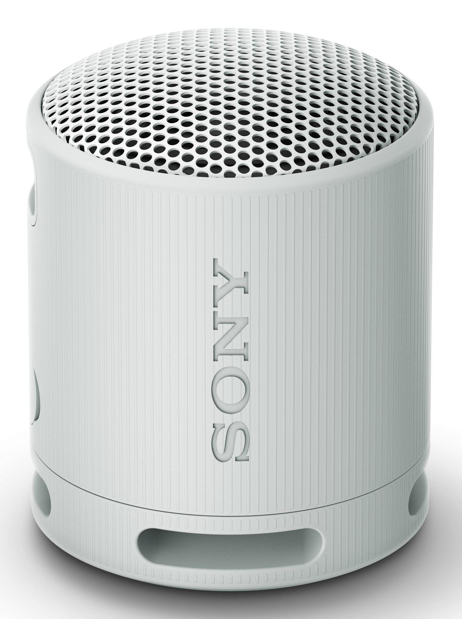 Sony Sony SRS-XB100 Enceinte portable mono Gris