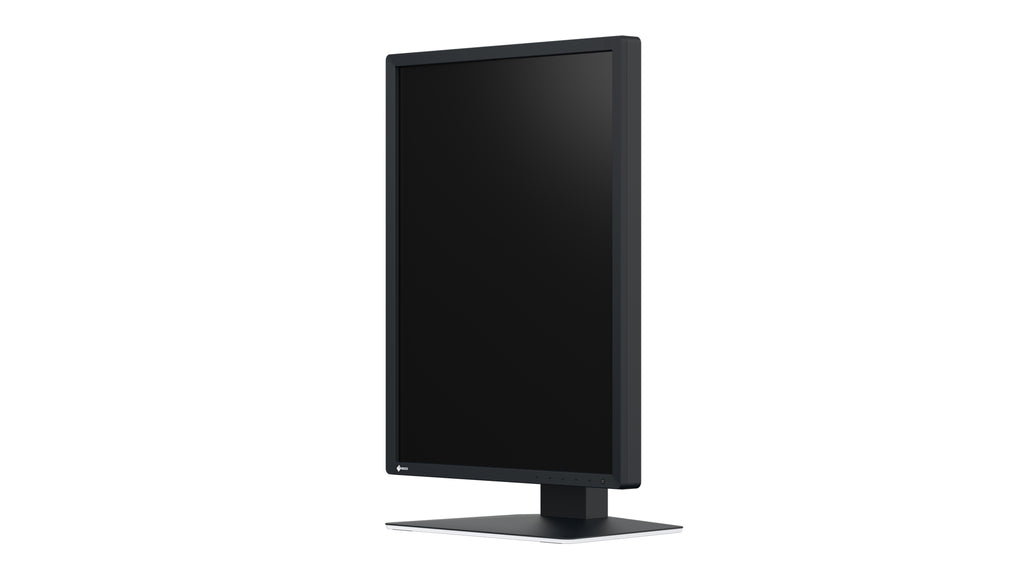 EIZO RadiForce MX217-SB Écran LCD 21" UXGA 1200 x 1600 pixels Noir