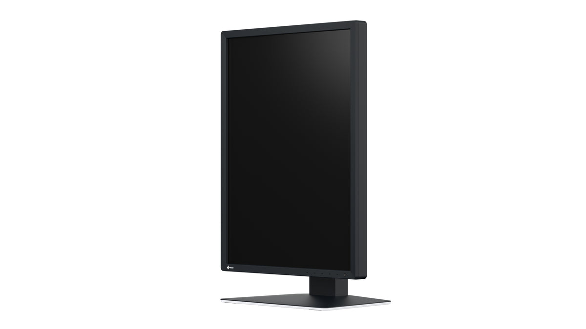 EIZO RadiForce MX217-SB Écran LCD 21" UXGA 1200 x 1600 pixels Noir