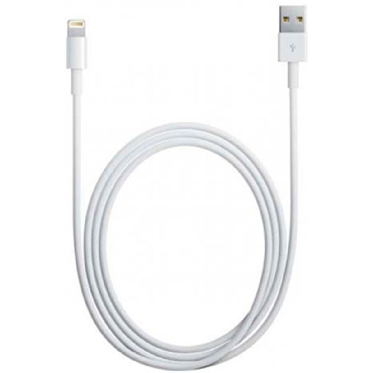 Apple Câble USB-A vers Lightning 1m