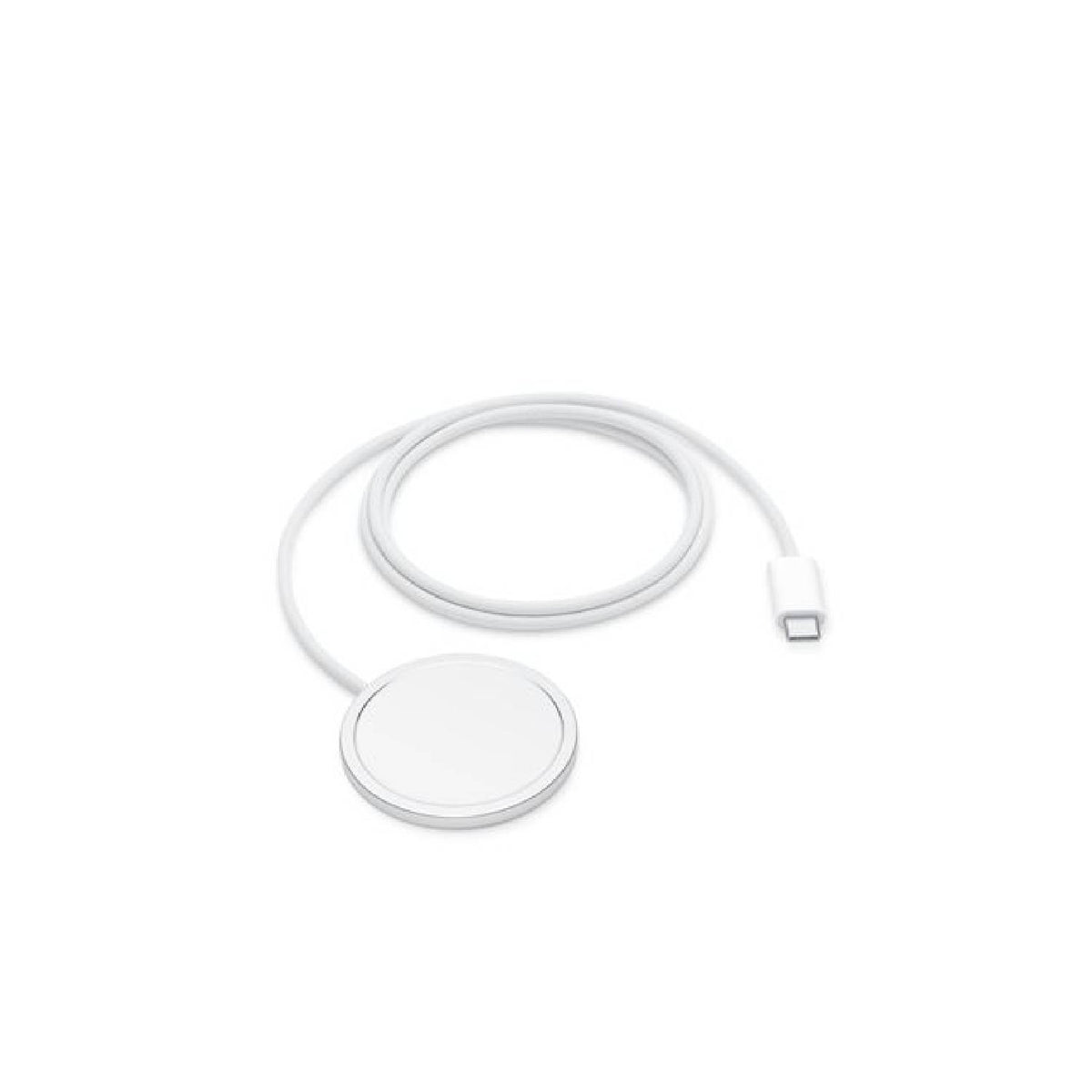 Chargeur MagSafe 1 m (MGD74ZM/A)