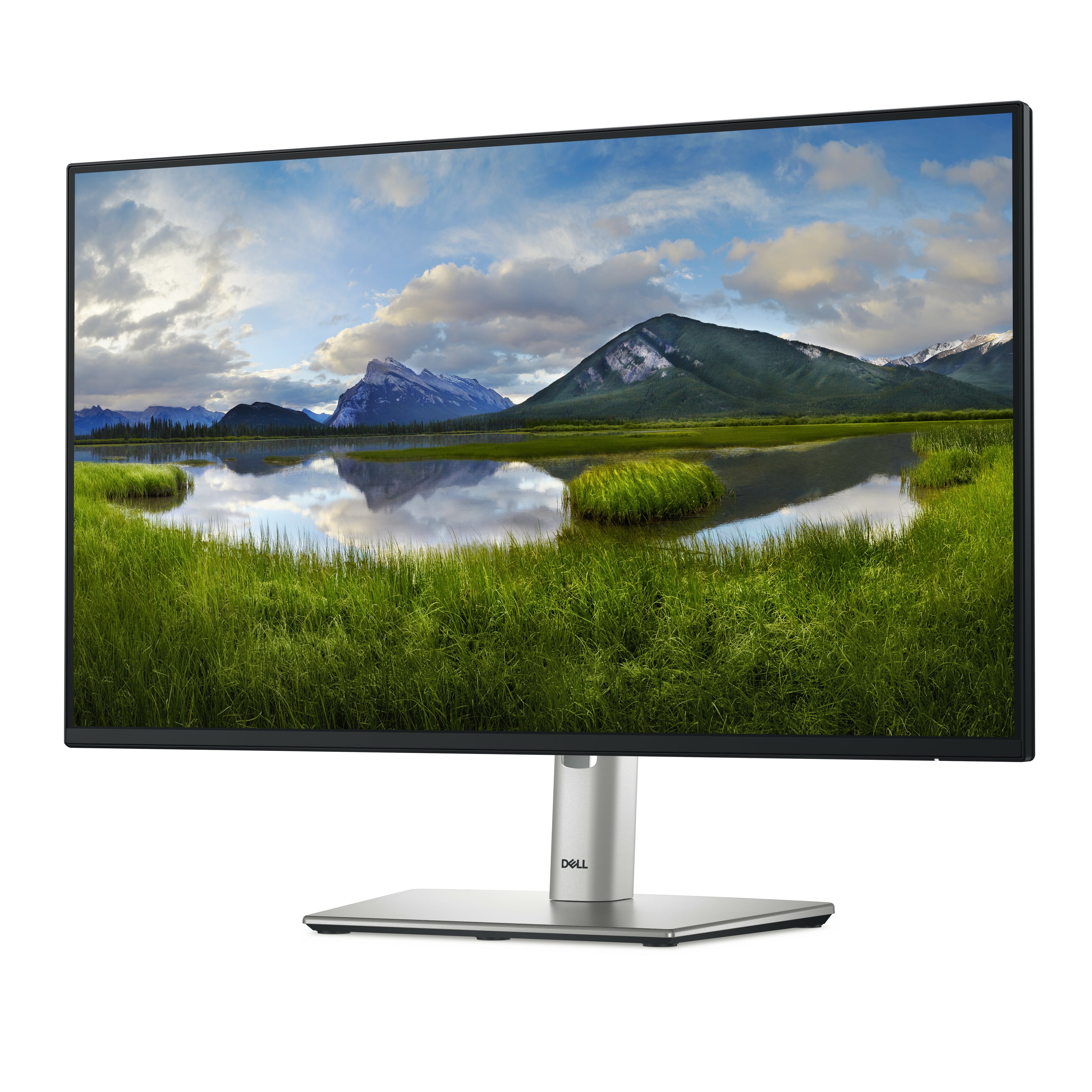 DELL Pro Plus P2425HE écran plat de PC 60,5 cm (23.8") 1920 x 1080 pixels Full HD LCD Noir