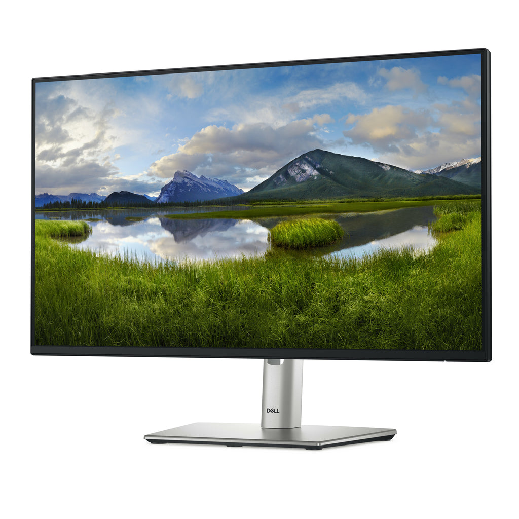 DELL Pro Plus P2425HE écran plat de PC 60,5 cm (23.8") 1920 x 1080 pixels Full HD LCD Noir