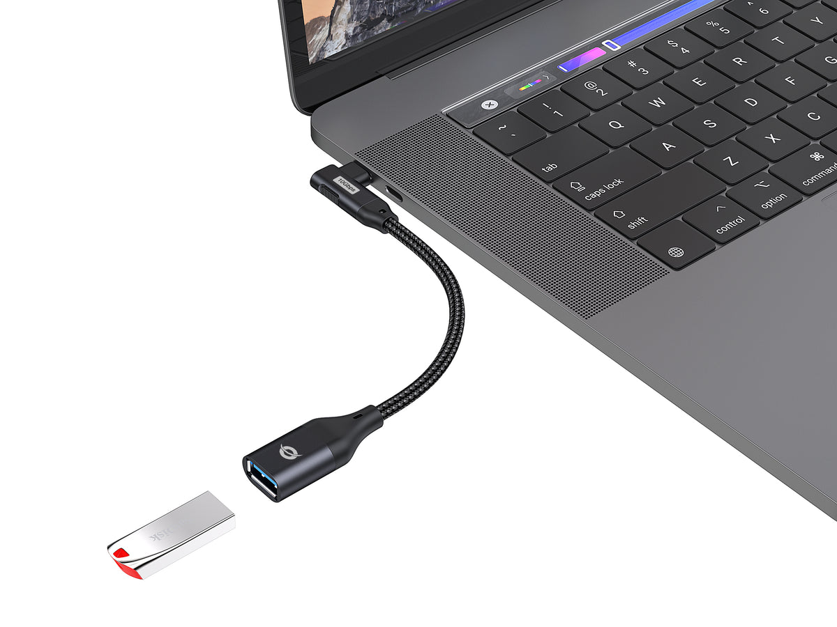 Conceptronic ABBY19B Adaptateur Changeur de Genre USB-C vers USB-A, Noir