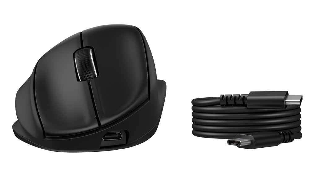 HP Souris ergonomique inclinable 725M