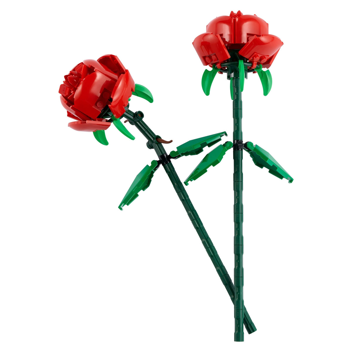 LEGO Iconic Les Roses 40460