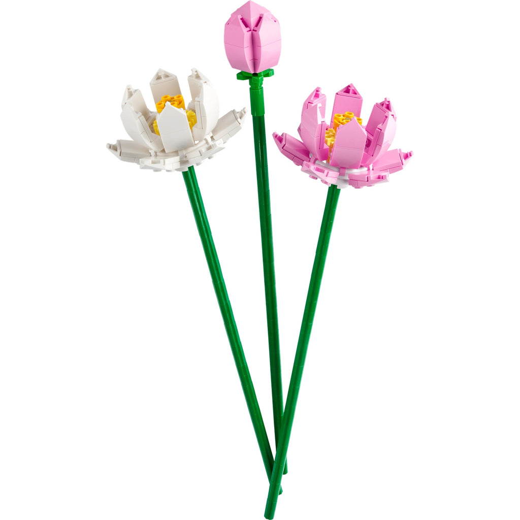 LEGO Iconic Les Fleurs de Lotus 40647