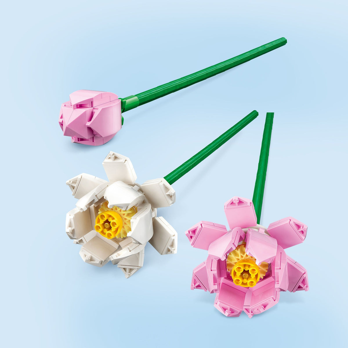 LEGO Iconic Les Fleurs de Lotus 40647