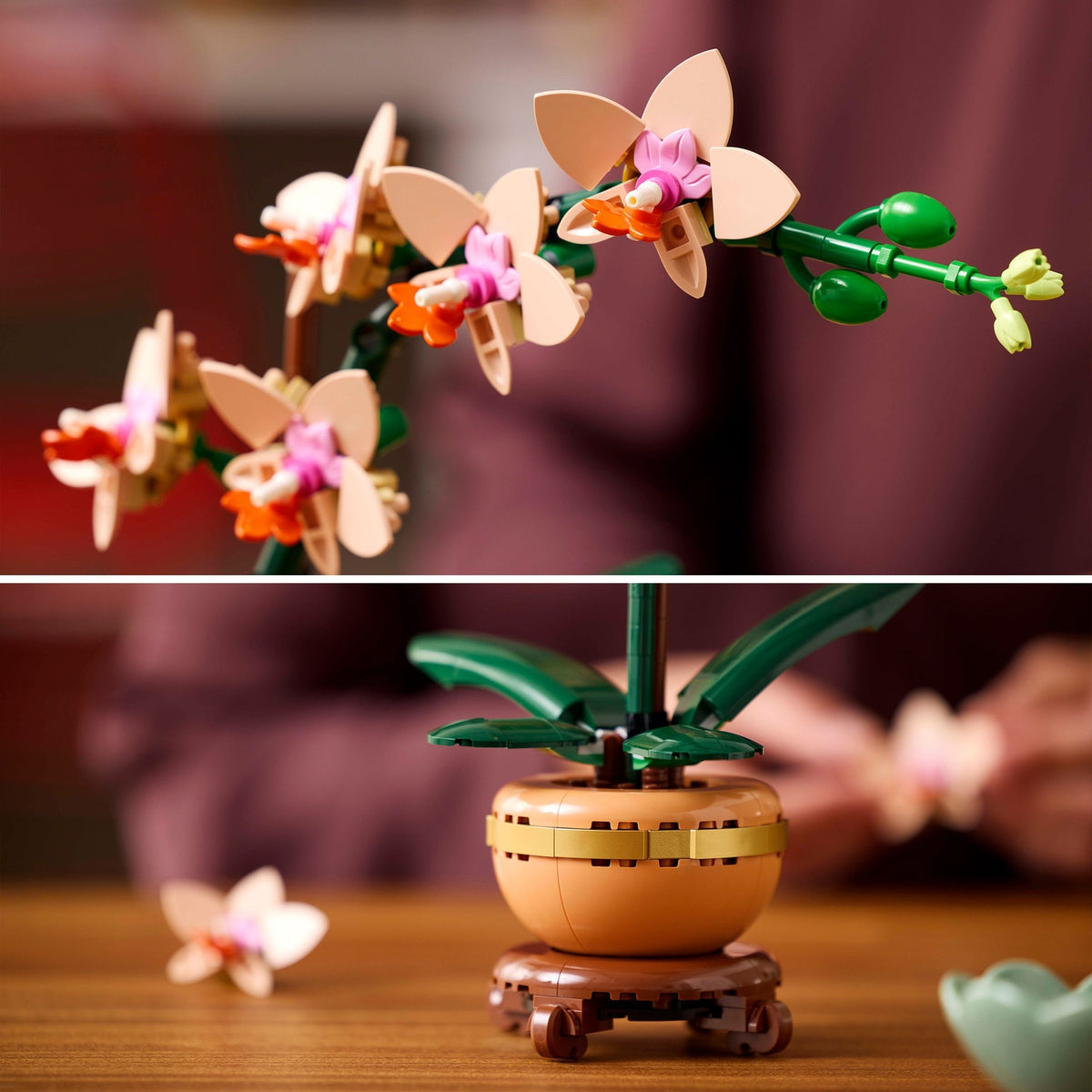 LEGO Botanicals L'Orchidée Miniature 10343