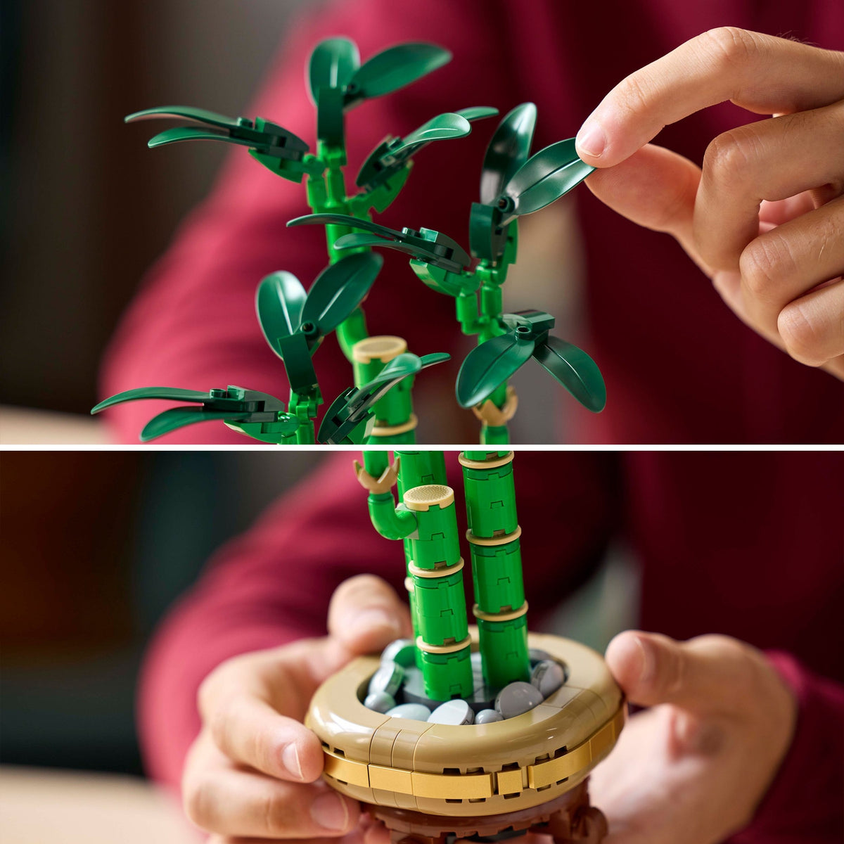 LEGO Botanicals Le Bambou de la Chance
