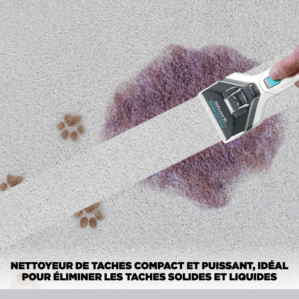 Shark Shampouineuse StainStriker Pet - PX200EUT