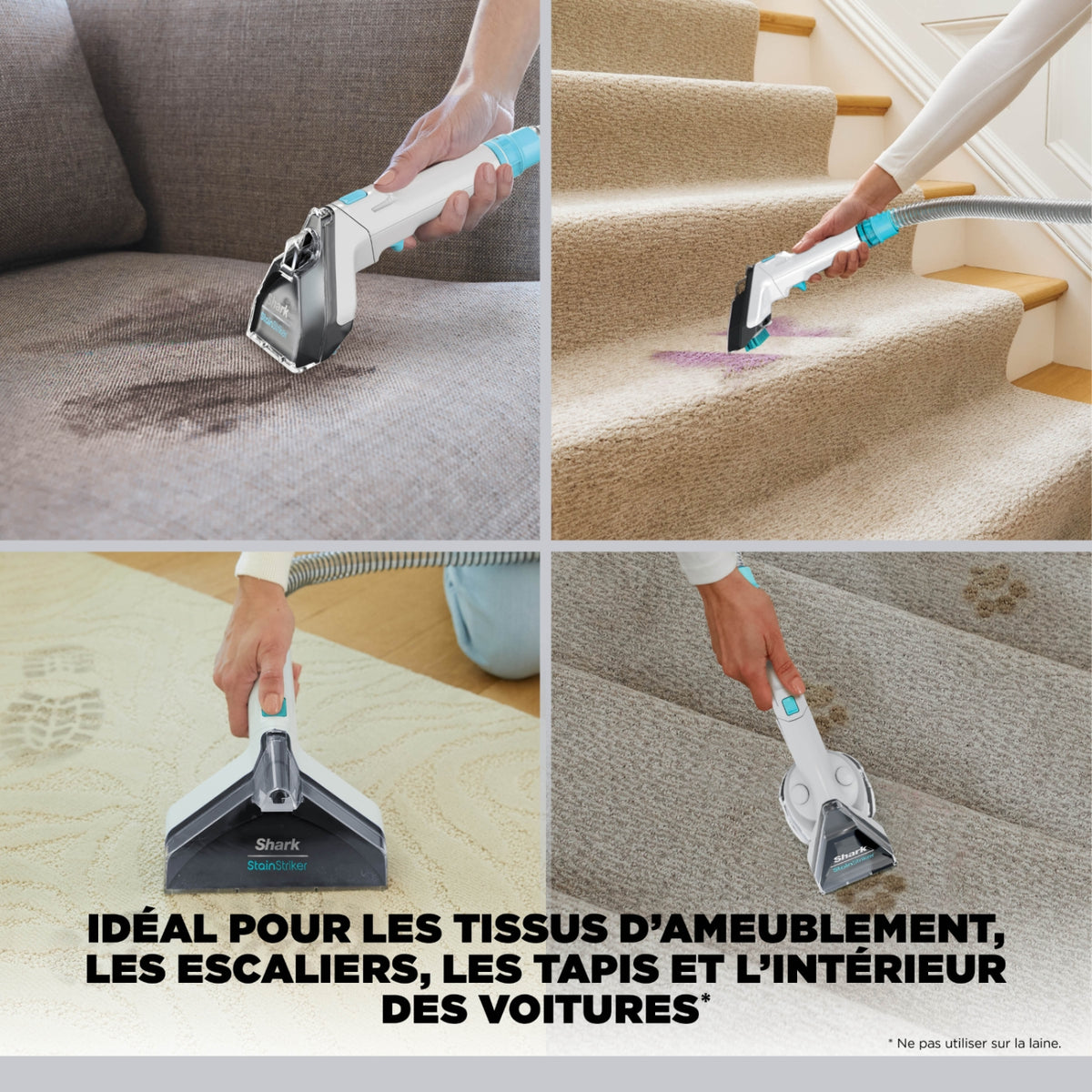 Shark Shampouineuse StainStriker Pet - PX200EUT