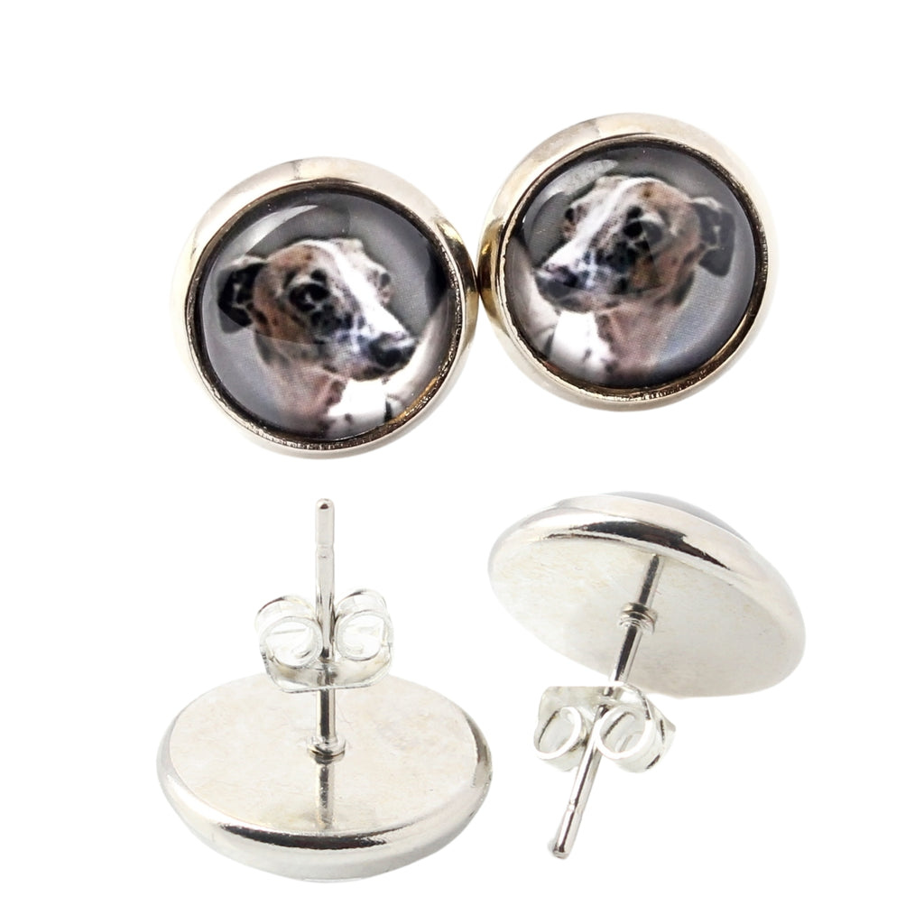 Italian Greyhound, Italian Sighthound - earrings in a box, your photo, handmade jewelry, a product of the Art-Dog brand