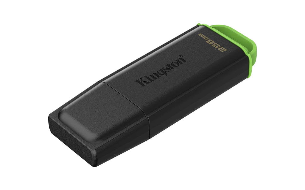 Kingston Technology DataTraveler 256Go Stockage portable USB 3.2 Gen 1 Exodia Noir + Vert