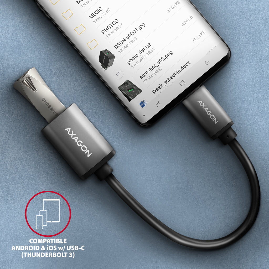 Axagon RUCM-AFAC changeur de genre de câble USB C USB A Gris