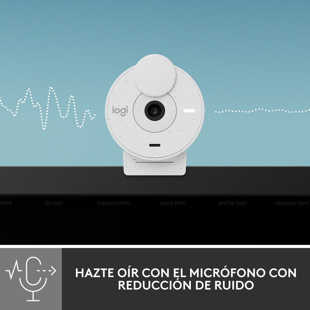 Logitech Brio 300