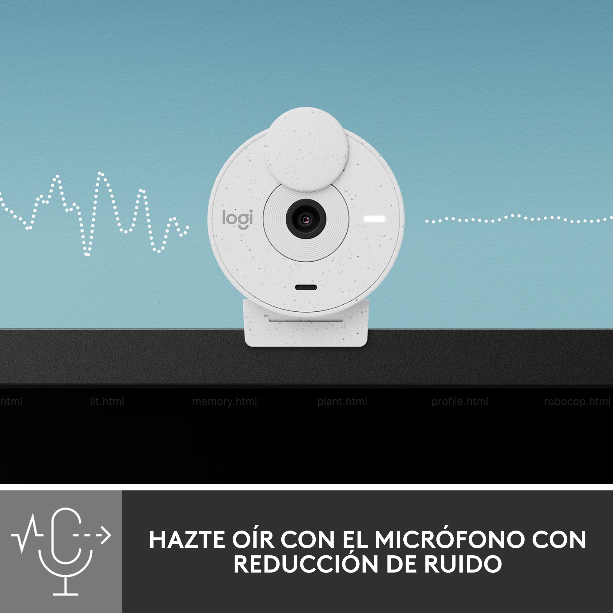 Logitech Brio 300