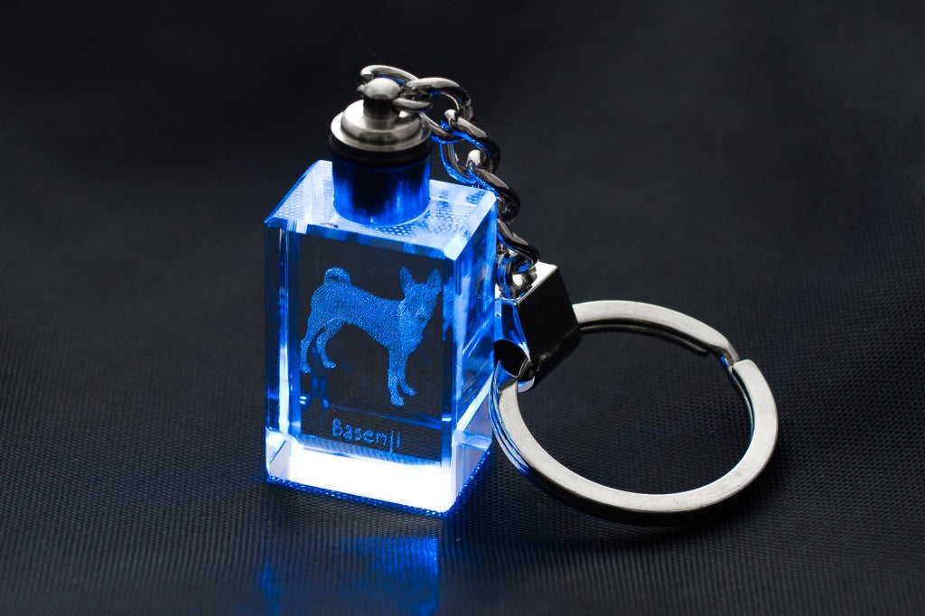 Basenji, African bush dog, Congo dog - Crystal key ring with dog photo, illuminated key ring, unique gift by Art-Dog brand