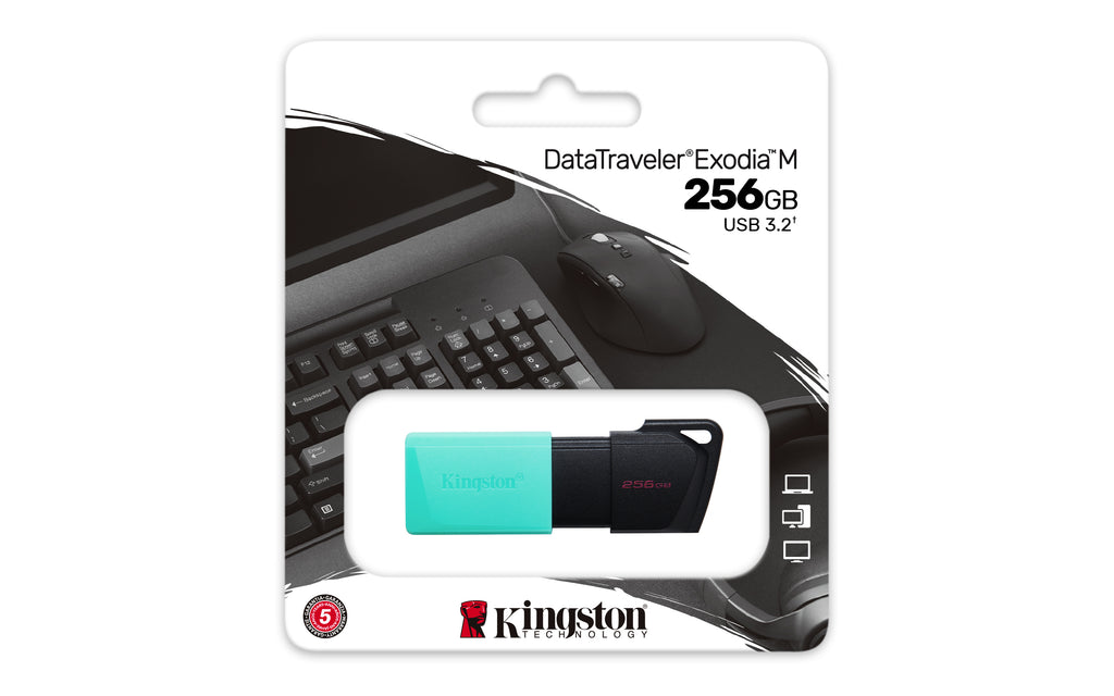 Kingston Technology DataTraveler 256GB USB3.2 Gen1 Exodia M (Noir + Turquoise)