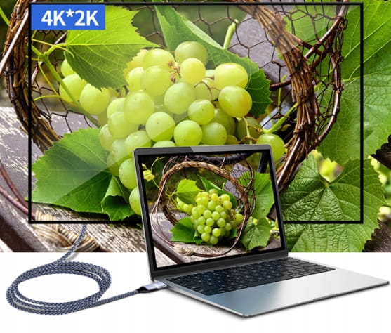 Câble Thunderbolt 3 USB-C 4K 60 Hz 10 Gb/s 100 W AV 2 m Zenwire ZC-8