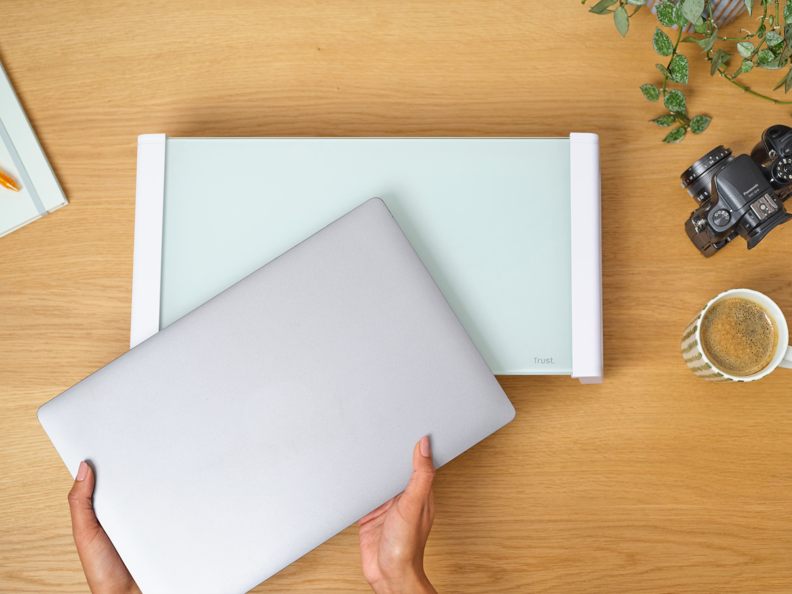 Trust 25351 support d'écran plat pour bureau Transparent, Blanc
