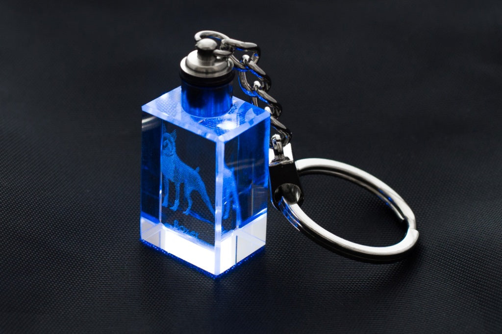 Boxer, German Boxer III - Crystal key ring with dog photo, illuminated key ring, unique gift by Art-Dog brand
