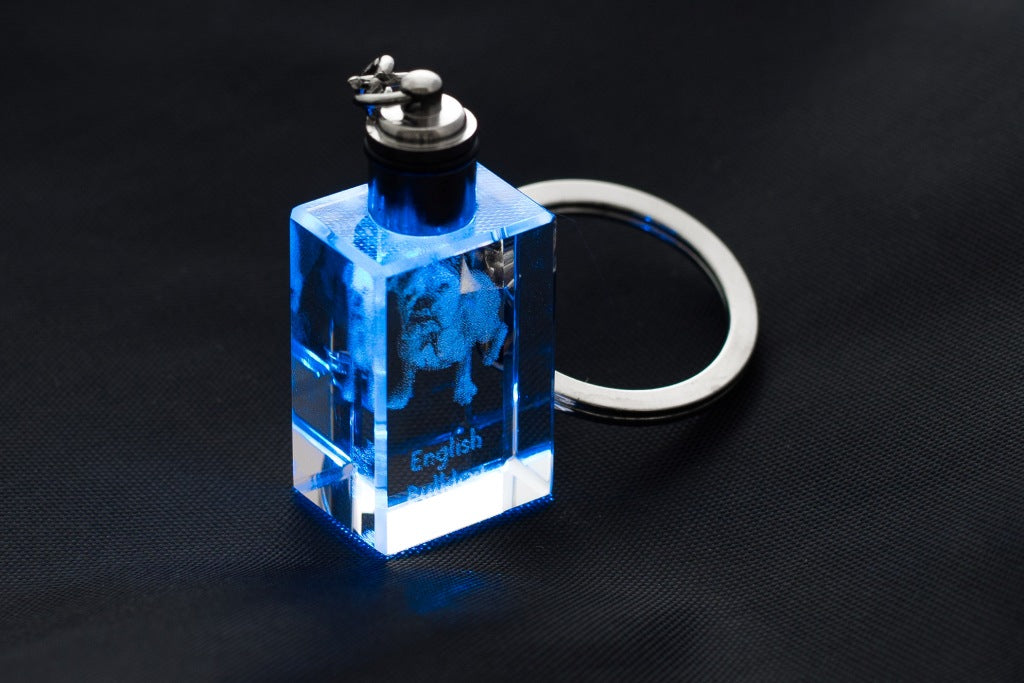 Bulldog, English Bulldog, British Bulldog - Crystal key ring with dog photo, illuminated key ring, unique gift by Art-Dog brand