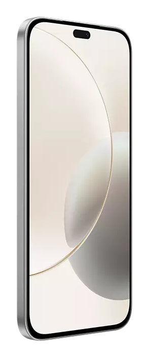 Honor 400 Lite 17 cm (6.7") Double SIM MagicOS 9.0 5G USB Type-C 8 Go 256 Go 5230 mAh Gris