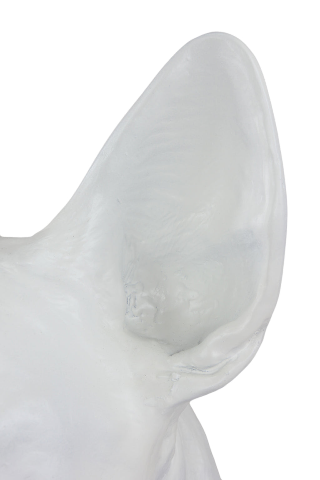 Bull Terrier, Bully I - urn for dog ashes, dog bust, large dog head for garden by Art-Dog