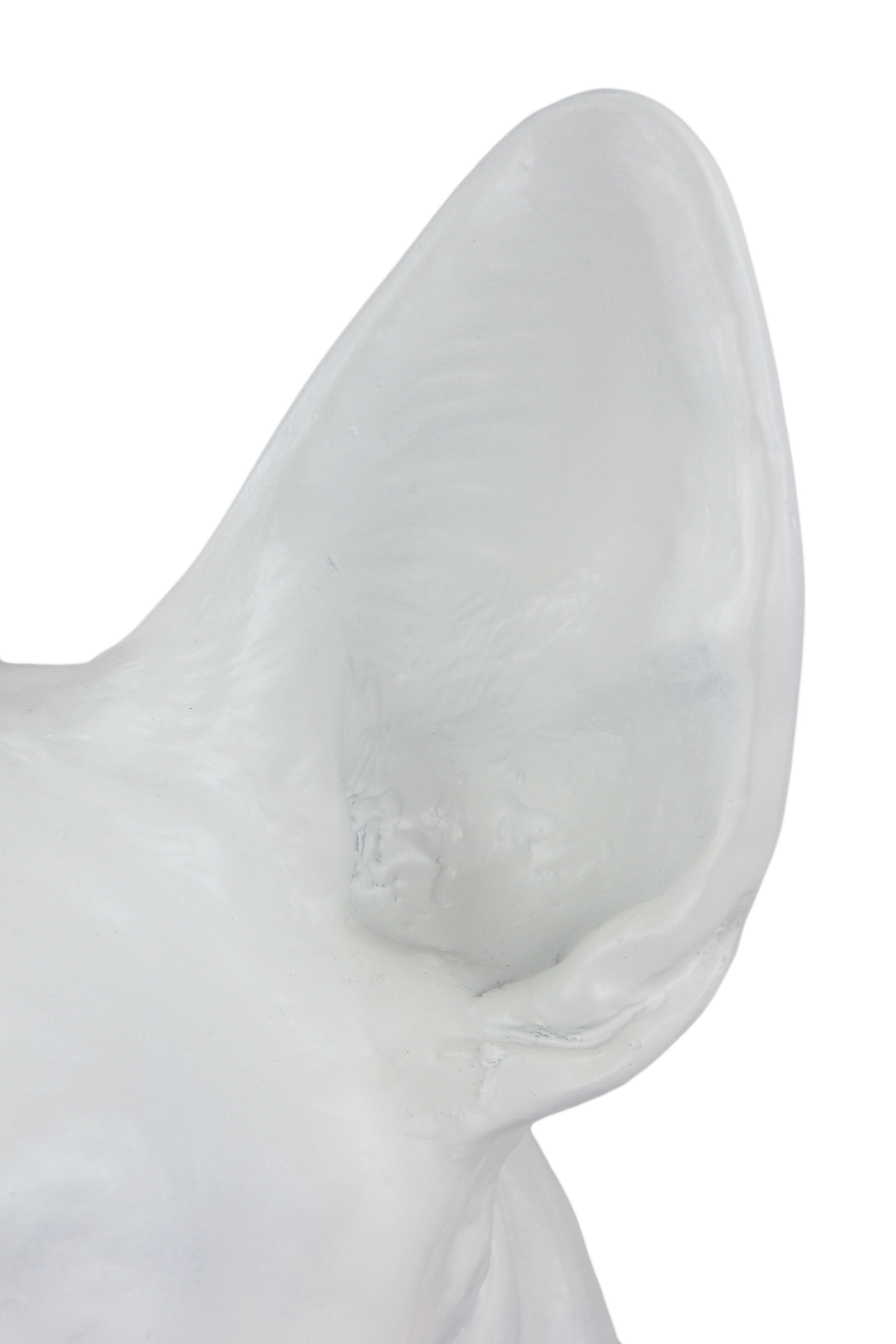 Bull Terrier, Bully I - urn for dog ashes, dog bust, large dog head for garden by Art-Dog
