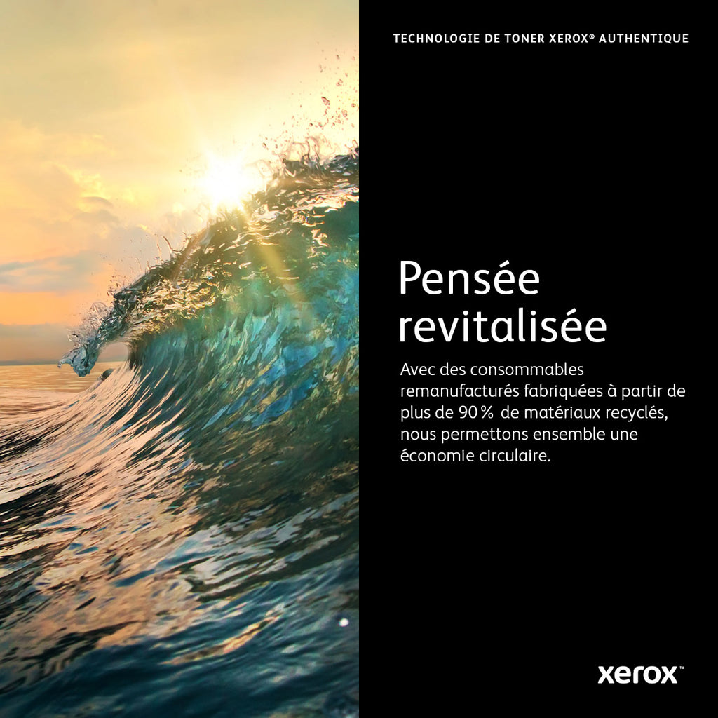 Xerox Cartouche de tambour