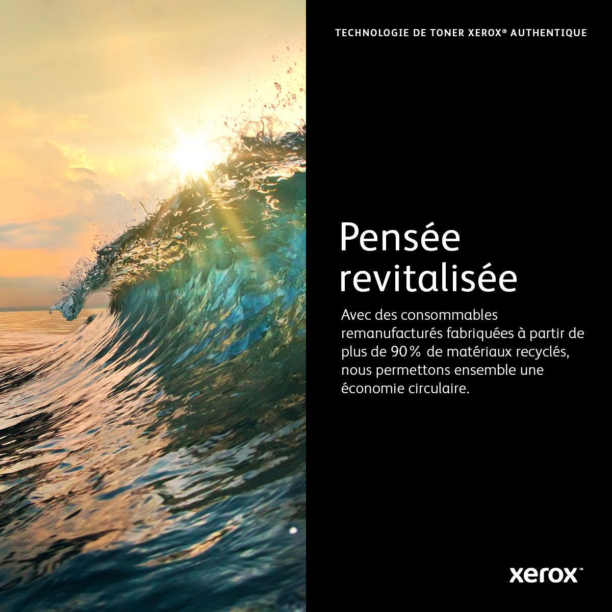 Xerox Cartouche de toner Cyan Phaser™ 6600, WorkCentre™ 6605