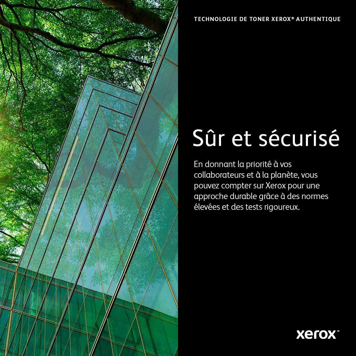 Xerox Cartouche de toner Cyan Phaser™ 6600, WorkCentre™ 6605