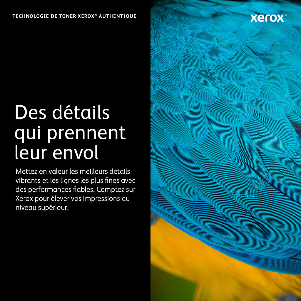 Xerox Cartouche de toner Cyan Phaser™ 6600, WorkCentre™ 6605