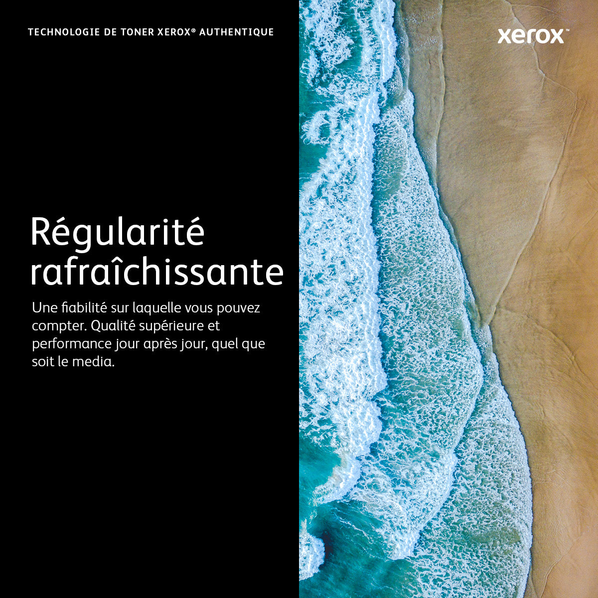 Xerox Cartouche de toner Cyan Phaser™ 6600, WorkCentre™ 6605