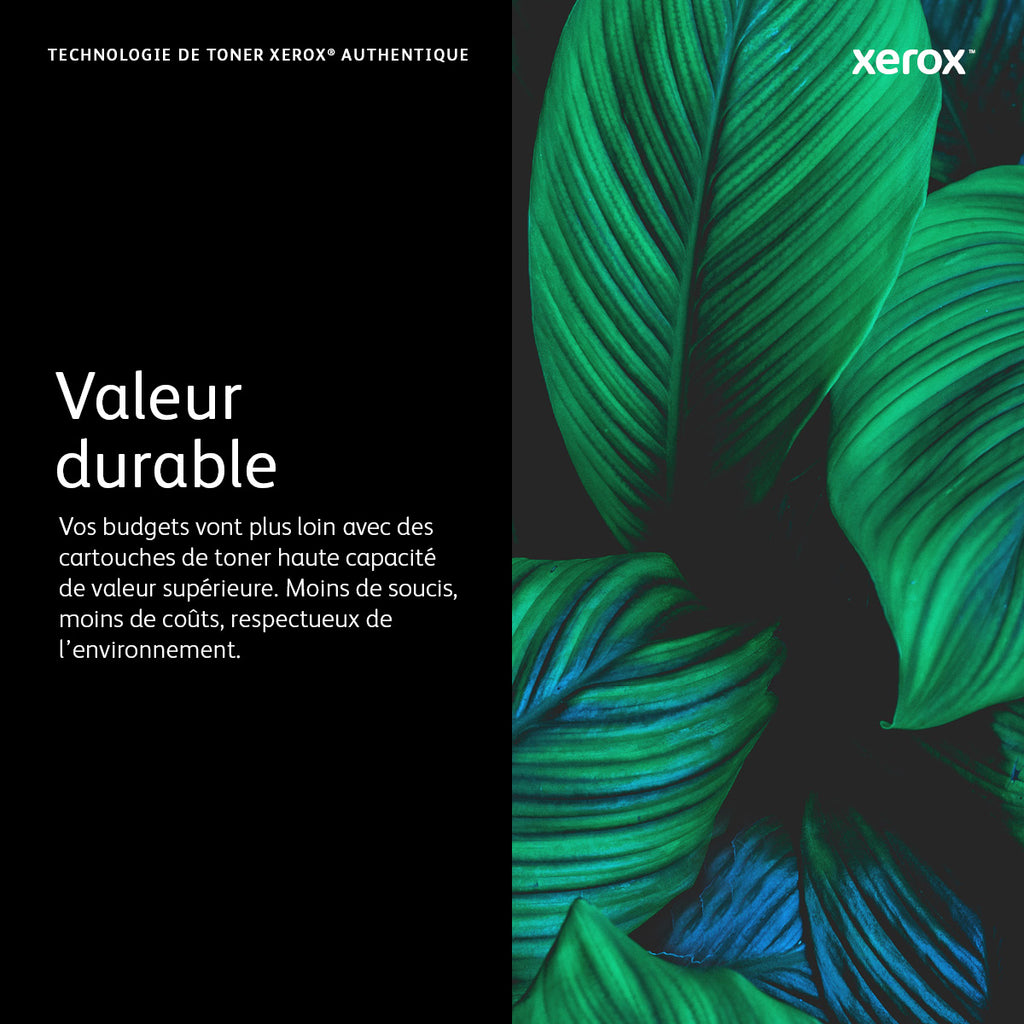Xerox Cartouche de toner Cyan Phaser™ 6600, WorkCentre™ 6605