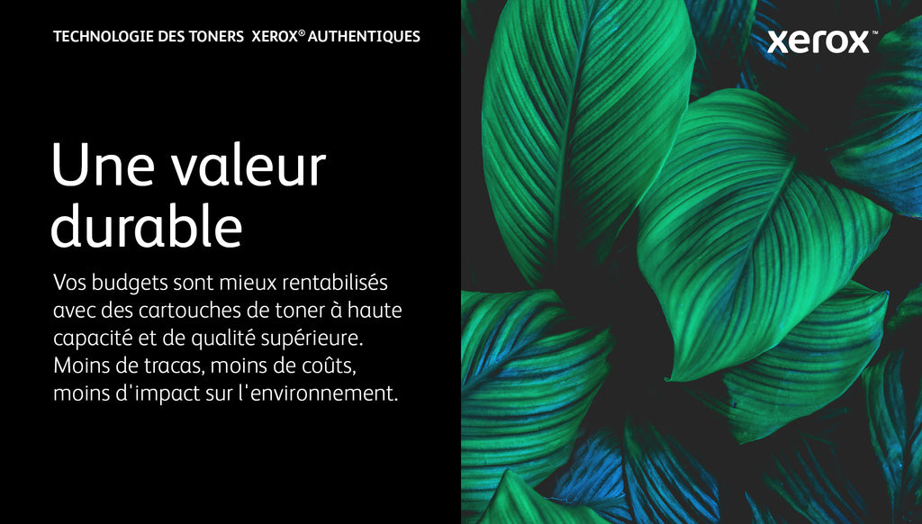 Xerox Cartouche de toner Noir de Capacité standard Imprimante ® VersaLink® B400/multifonction ® VersaLink® B405 (5900 pages) - 106R03580