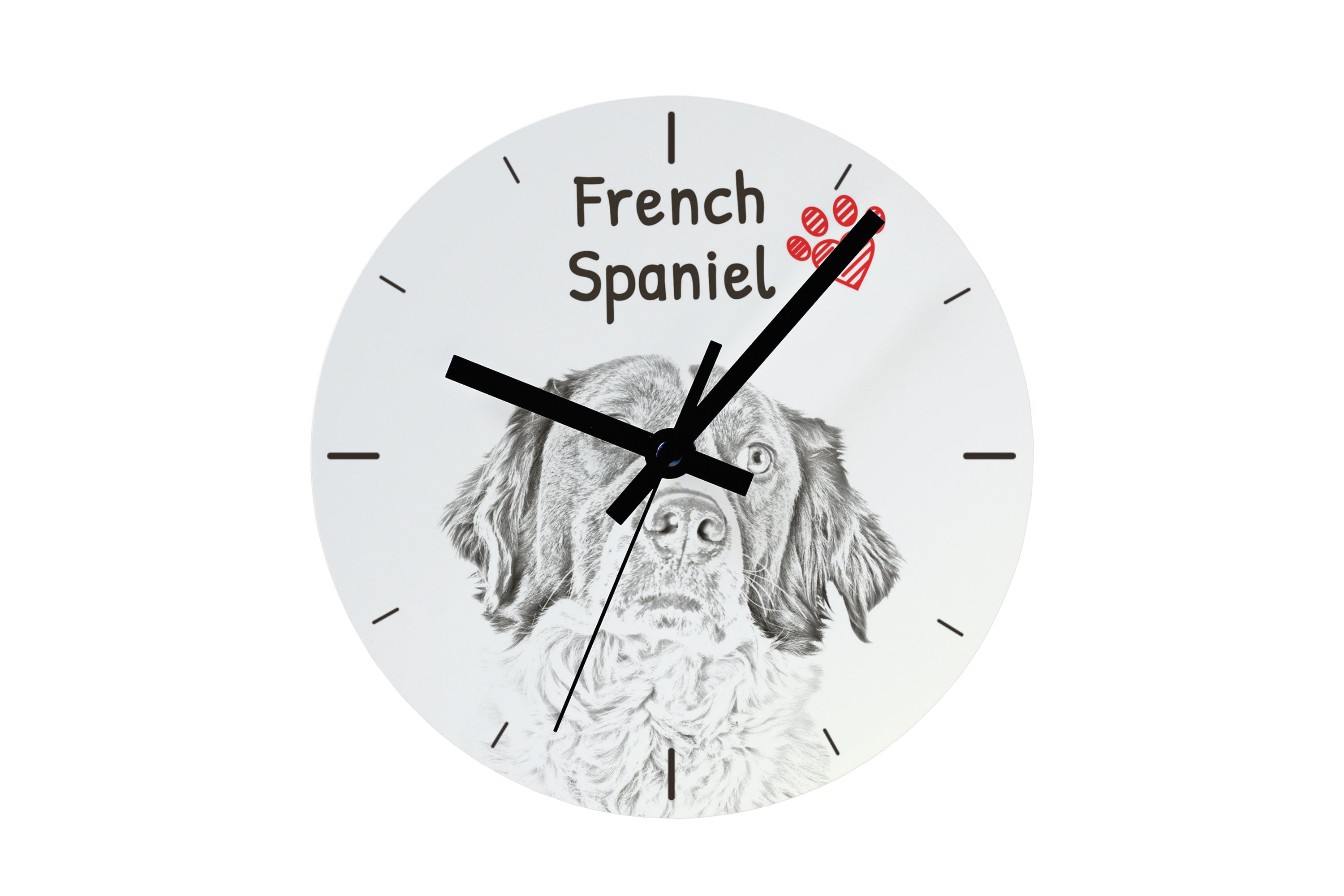 French Spaniel, French Setter, Canadian Setter - wall clock with a dog, shelf clock with a print, personalized home decoration from the Art-Dog brand