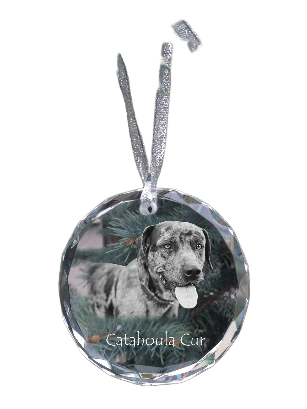 Catahoula Leopard Dog, Catahoula Cur - crystal bauble with a photo, dog photo in crystal, personalized Christmas tree ornament by Art-Dog brand