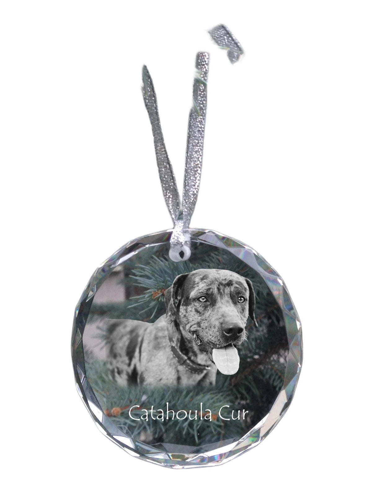 Catahoula Leopard Dog, Catahoula Cur - crystal bauble with a photo, dog photo in crystal, personalized Christmas tree ornament by Art-Dog brand