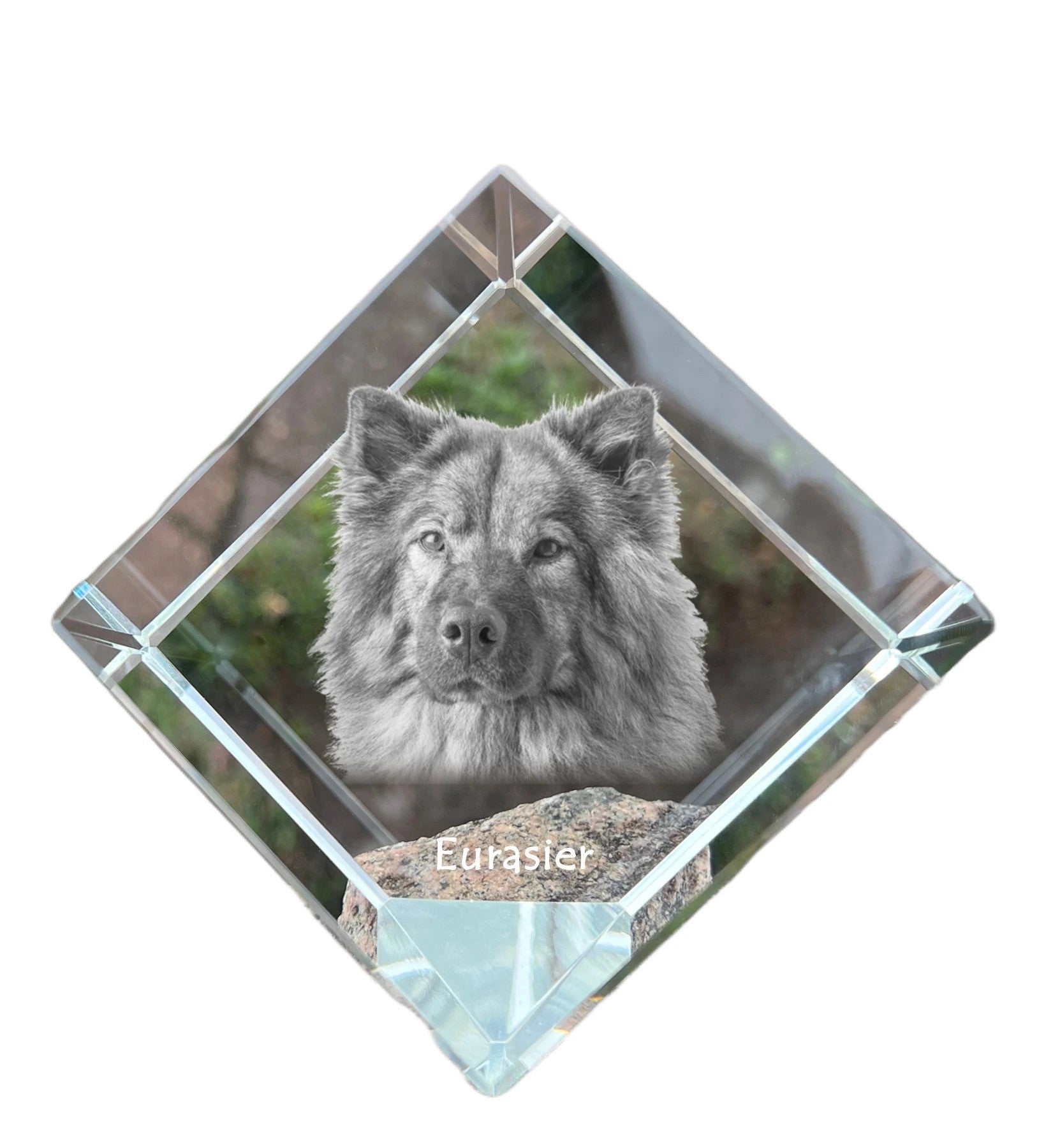 Eurasian, Eurasier - crystal cube with a photo, photo of a horse in crystal, cubic paperweight from Art-Dog brand