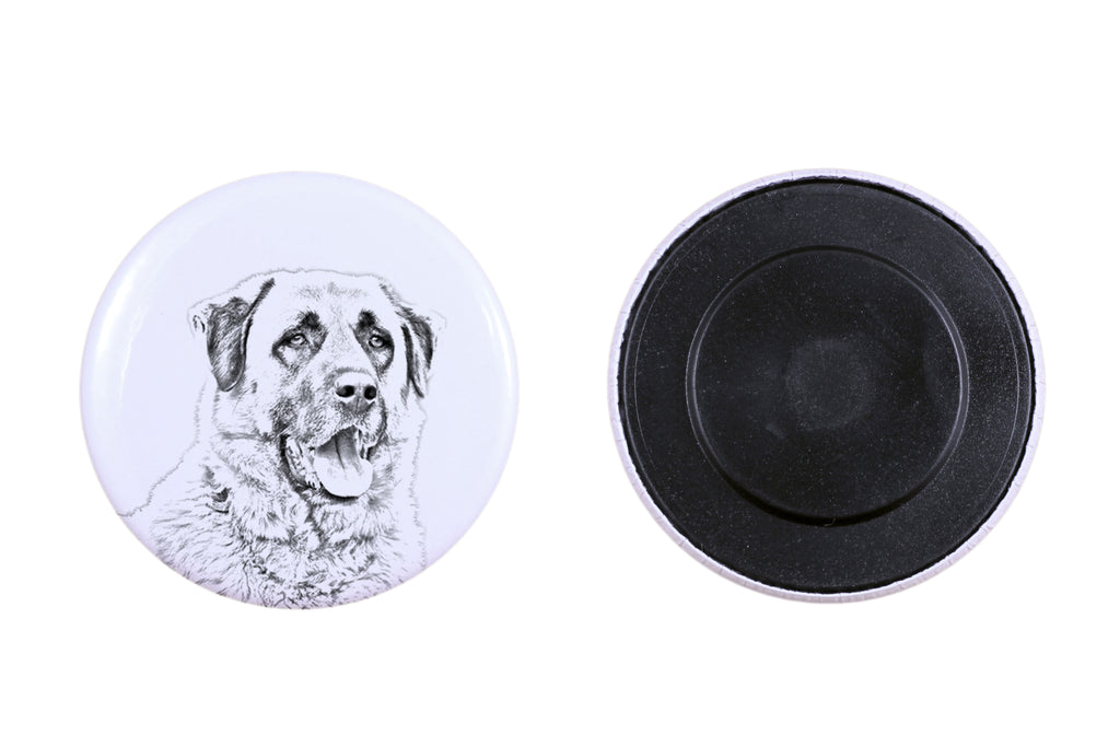 Anatolian Shepherd Dog, Turkish Kangal Dog - magnet with a dog's pupil, exceptionally light, strong magnet, handmade product by the Art-Dog brand