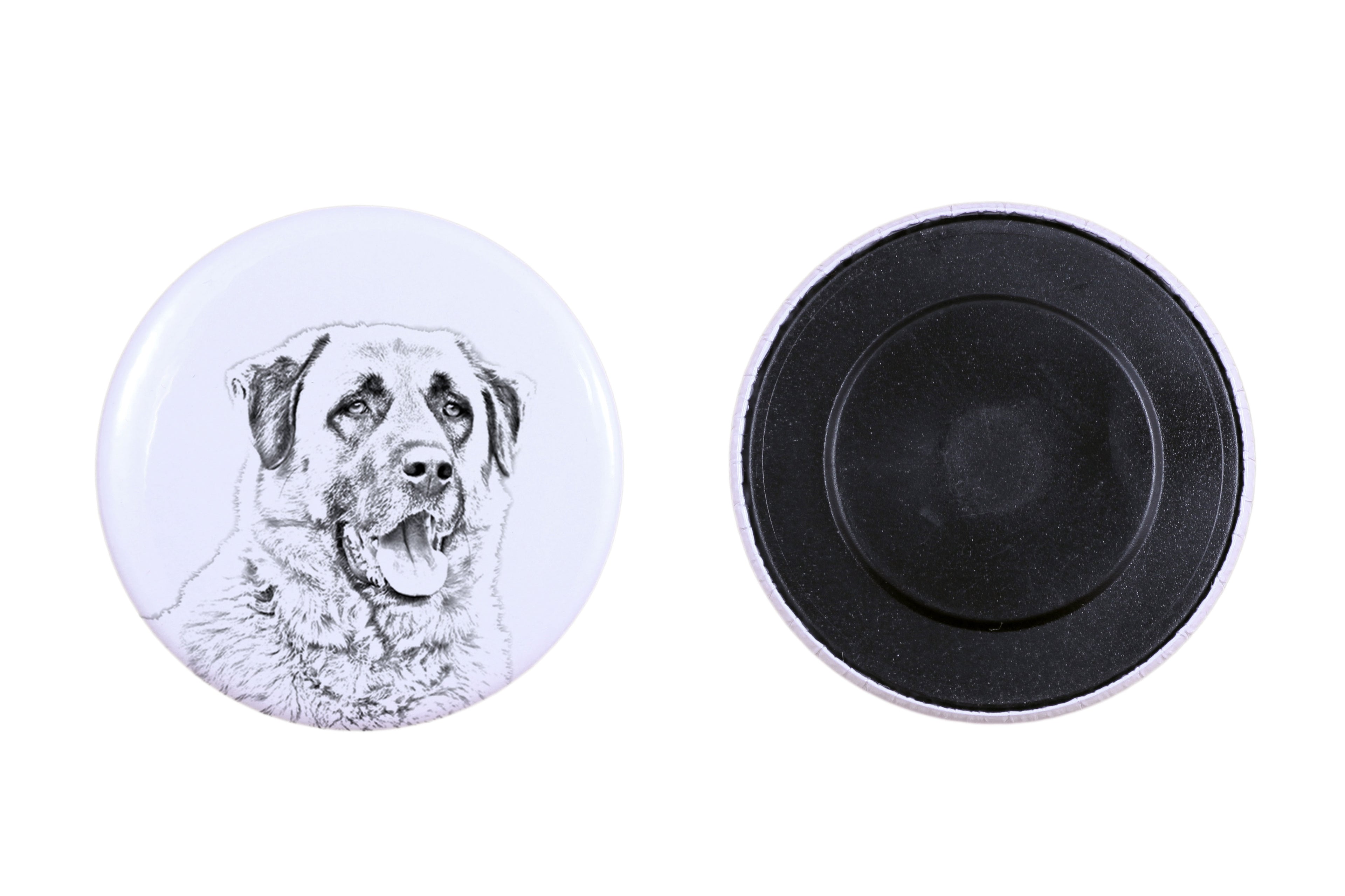 Anatolian Shepherd Dog, Turkish Kangal Dog - magnet with a dog's pupil, exceptionally light, strong magnet, handmade product by the Art-Dog brand