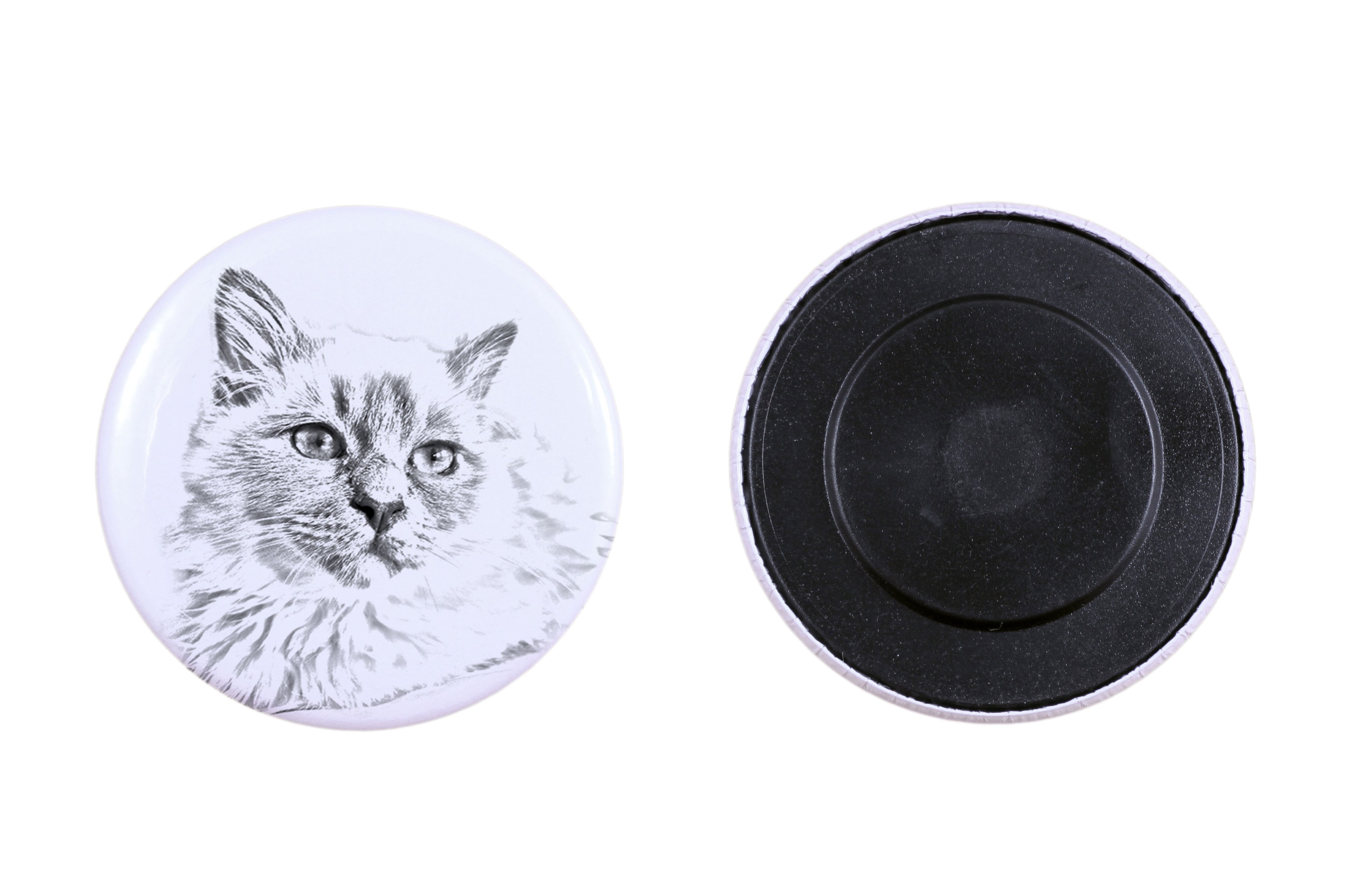 Birman - collection of unique magnets, own photo, Art-Dog brand