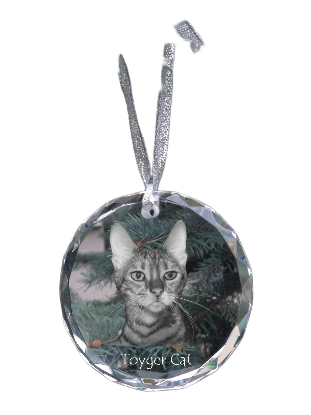 Toyger - crystal bauble with a photo, photo of a cat in crystal, personalized Christmas tree ornament by Art-Dog brand