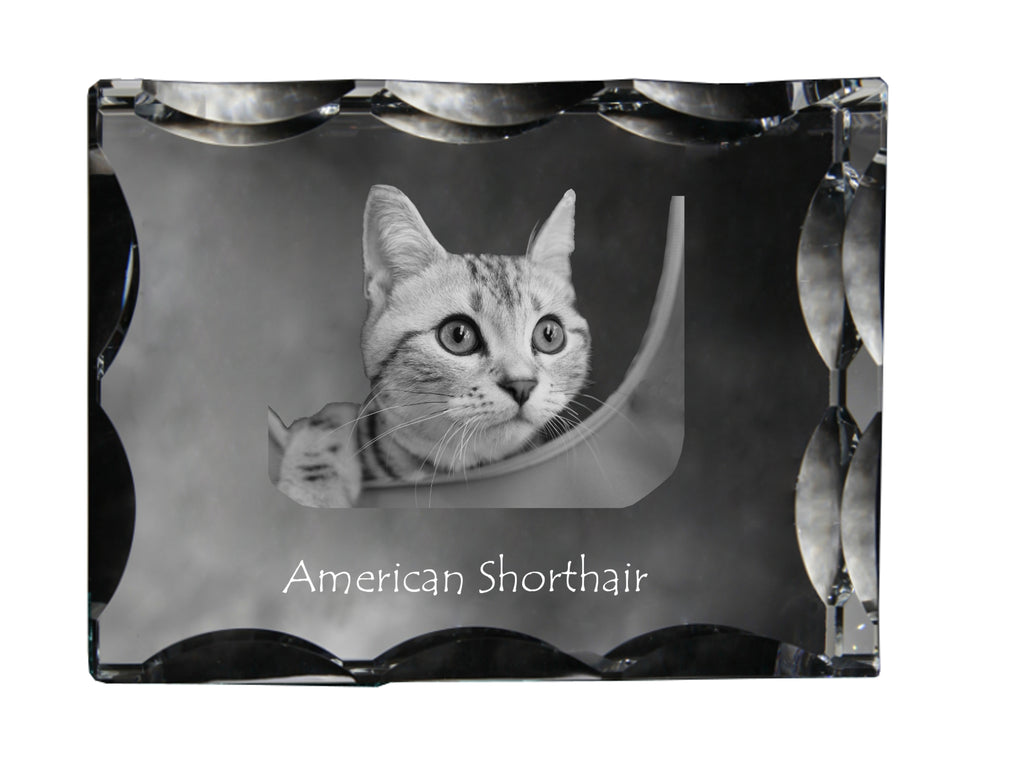 American Shorthair - crystal with a cat picture, glass statuette with a picture, unique frame with a picture from Art-Dog brand