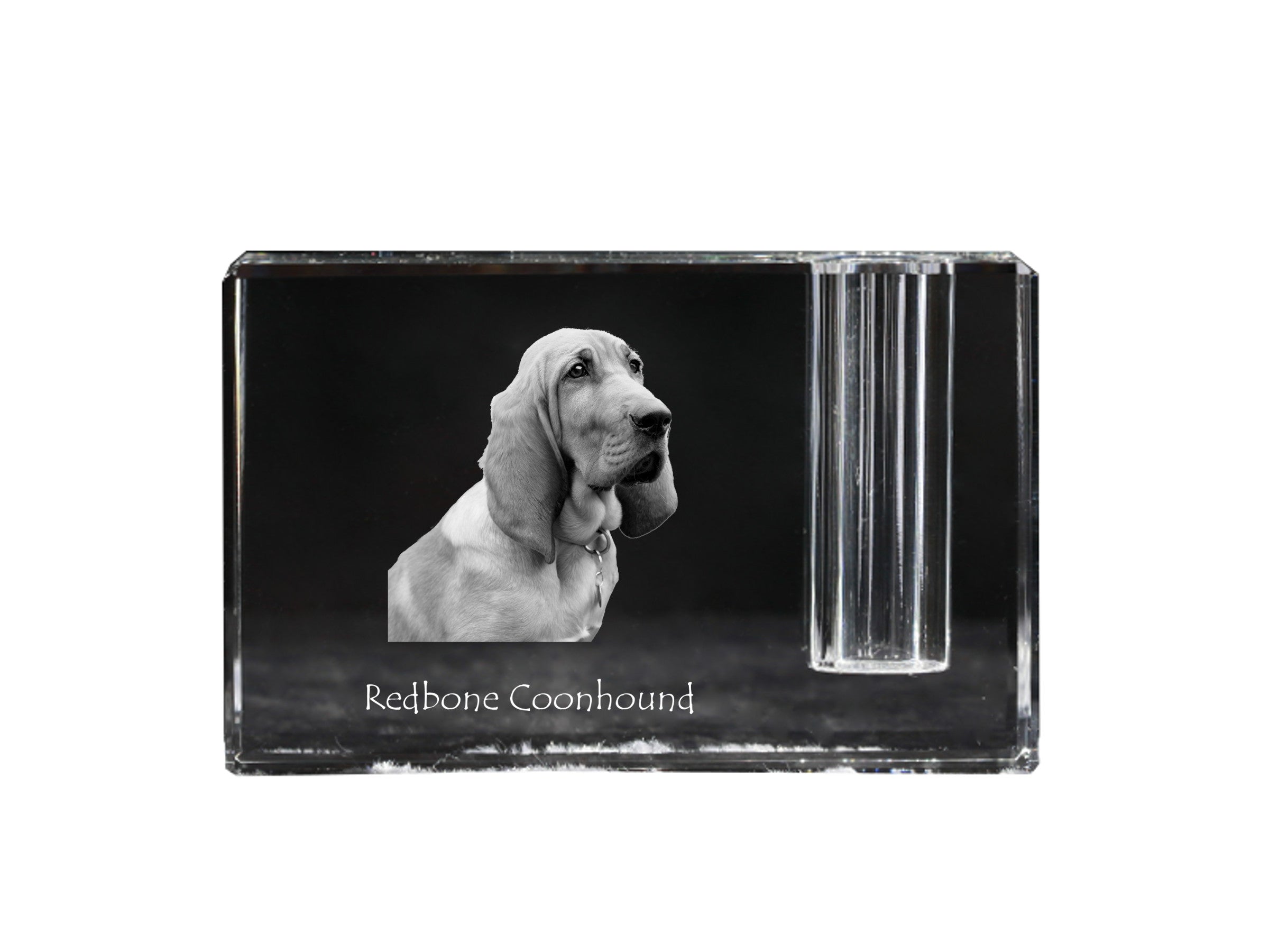 Redbone Coonhound - Pen stand, crystal organiser with dog photo, unique desk decoration by Art-Dog brand