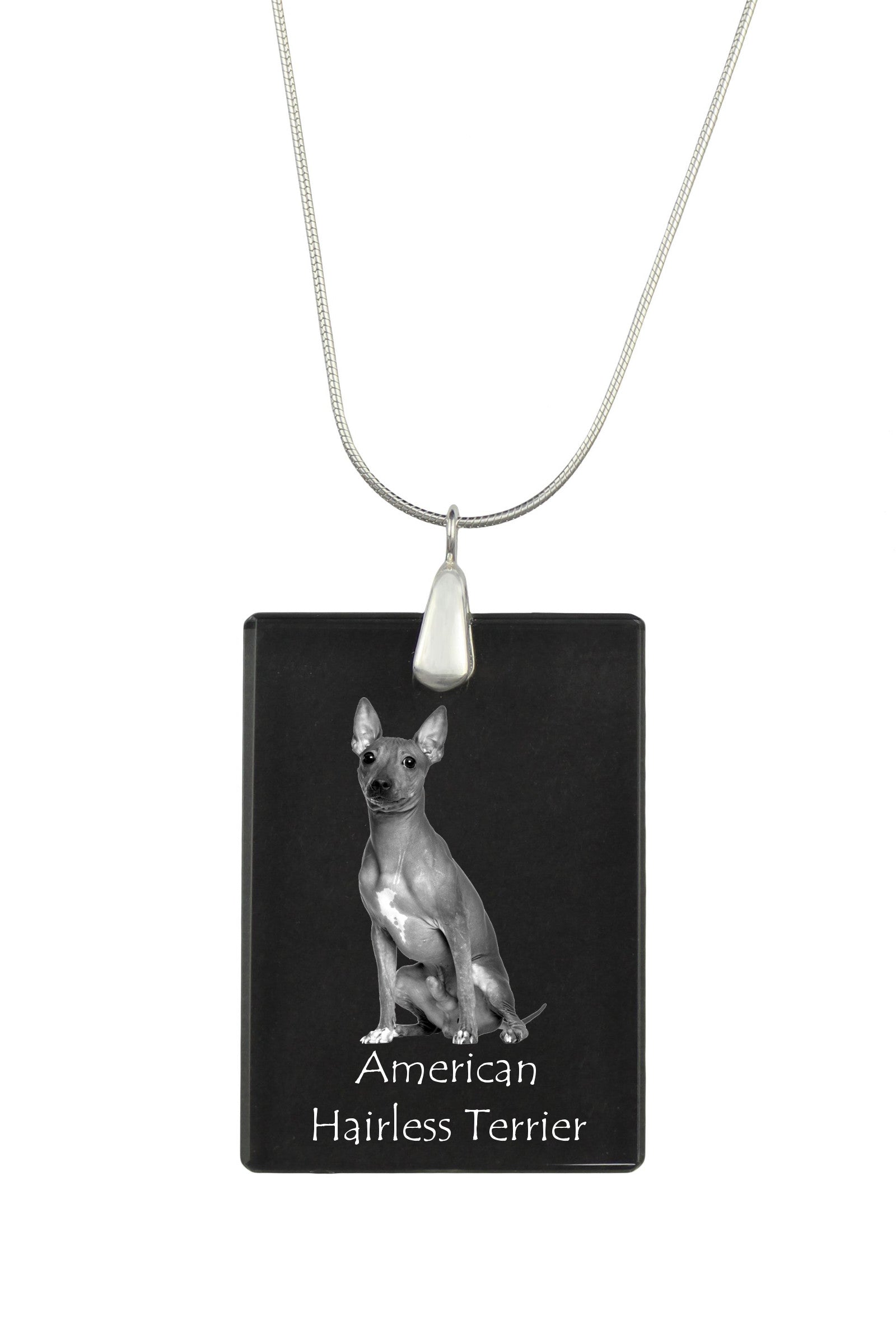 American Hairless Terrier - Crystal pendant with dog, silver necklace with photo, personalised pendant by Art-Dog brand
